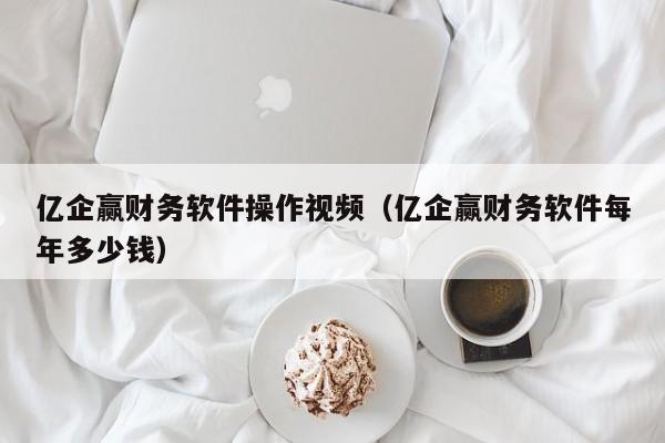 亿企赢财务软件操作视频（亿企赢财务软件每年多少钱）