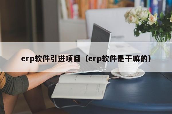 erp软件引进项目（erp软件是干嘛的）