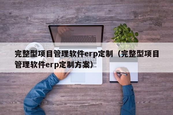 完整型项目管理软件erp定制（完整型项目管理软件erp定制方案）