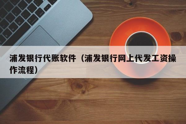 浦发银行代账软件（浦发银行网上代发工资操作流程）