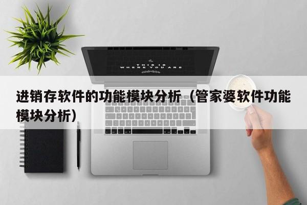 进销存软件的功能模块分析（管家婆软件功能模块分析）