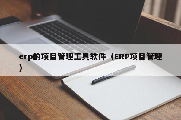 erp的项目管理工具软件（ERP项目管理）