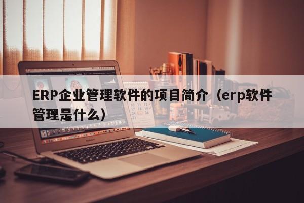 ERP企业管理软件的项目简介（erp软件管理是什么）