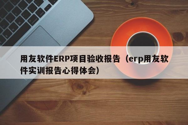 用友软件ERP项目验收报告（erp用友软件实训报告心得体会）