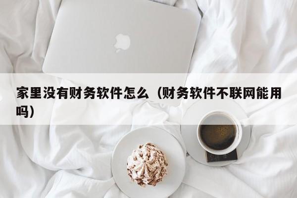 家里没有财务软件怎么（财务软件不联网能用吗）