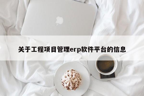 关于工程项目管理erp软件平台的信息