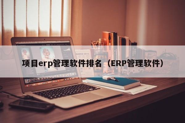 项目erp管理软件排名（ERP管理软件）