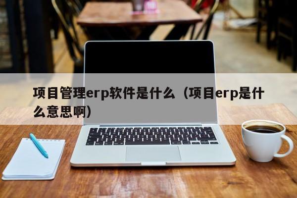 项目管理erp软件是什么（项目erp是什么意思啊）