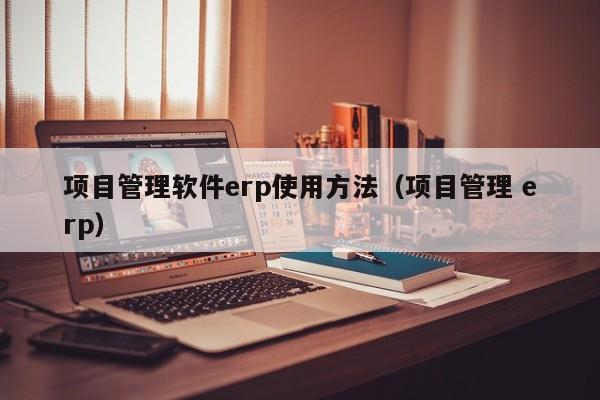 项目管理软件erp使用方法（项目管理 erp）