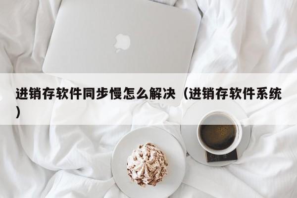 进销存软件同步慢怎么解决（进销存软件系统）