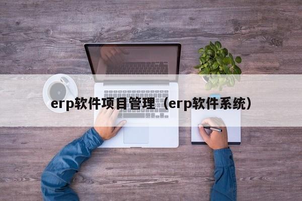 erp软件项目管理（erp软件系统）