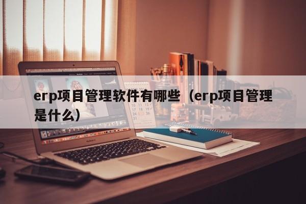 erp项目管理软件有哪些（erp项目管理是什么）