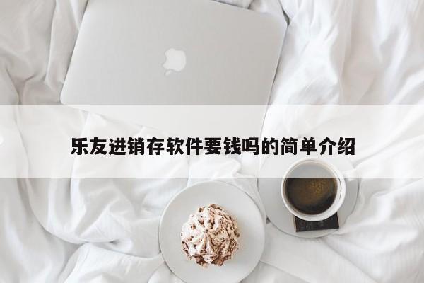 乐友进销存软件要钱吗的简单介绍