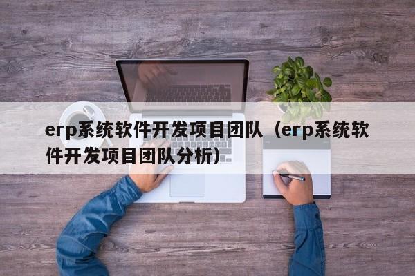 erp系统软件开发项目团队（erp系统软件开发项目团队分析）