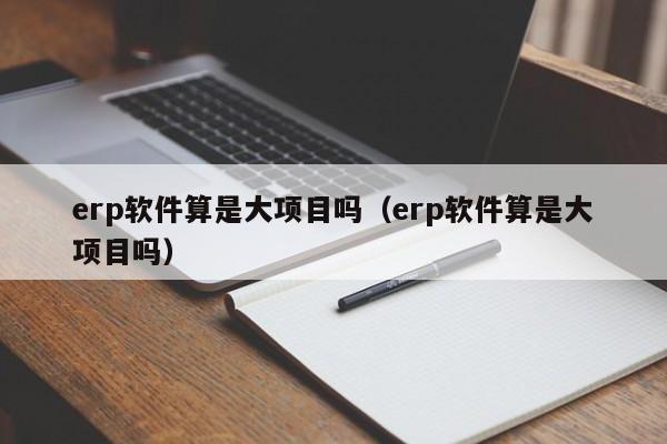 erp软件算是大项目吗（erp软件算是大项目吗）