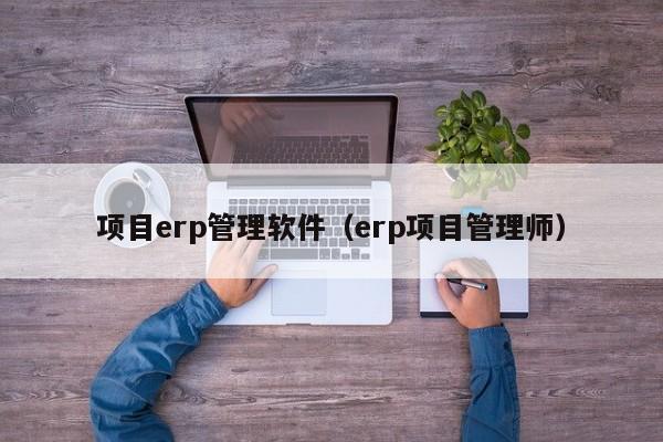 项目erp管理软件（erp项目管理师）