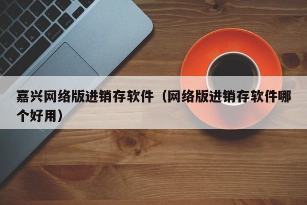 嘉兴网络版进销存软件（网络版进销存软件哪个好用）