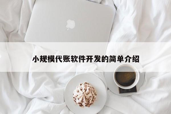 小规模代账软件开发的简单介绍