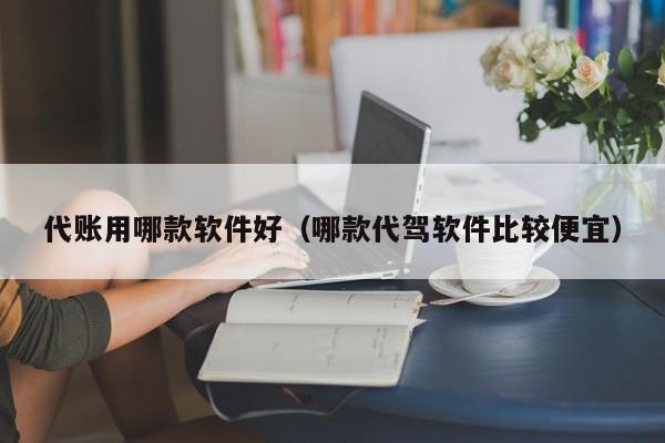 代账用哪款软件好（哪款代驾软件比较便宜）