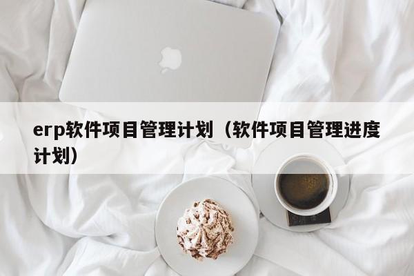 erp软件项目管理计划（软件项目管理进度计划）