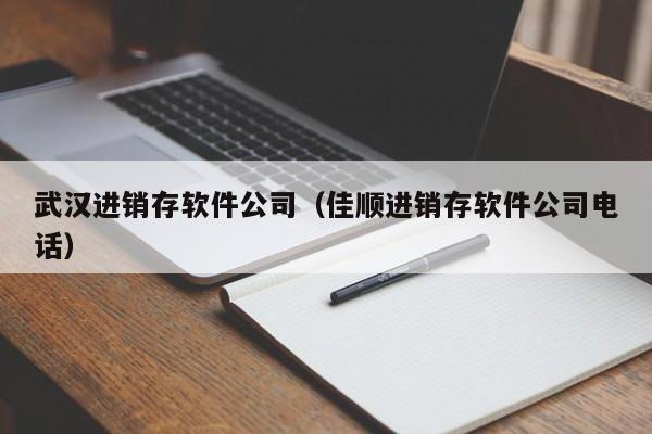 武汉进销存软件公司（佳顺进销存软件公司电话）