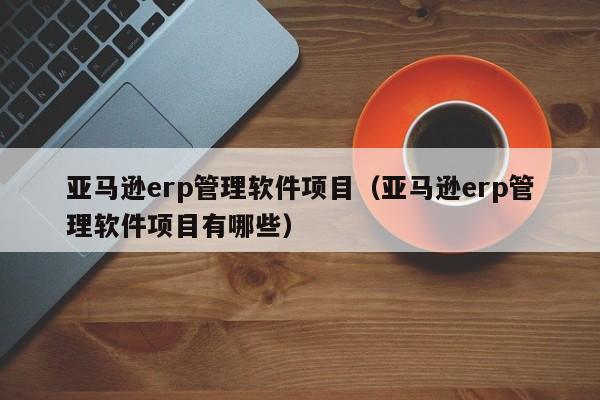 亚马逊erp管理软件项目（亚马逊erp管理软件项目有哪些）