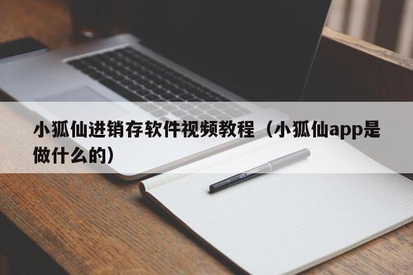 小狐仙进销存软件视频教程（小狐仙app是做什么的）