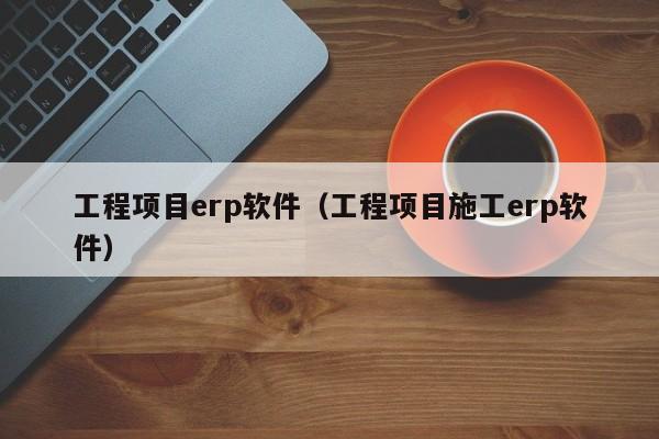 工程项目erp软件（工程项目施工erp软件）