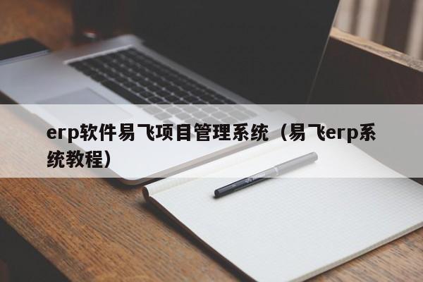 erp软件易飞项目管理系统（易飞erp系统教程）