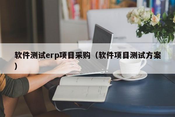 软件测试erp项目采购（软件项目测试方案）