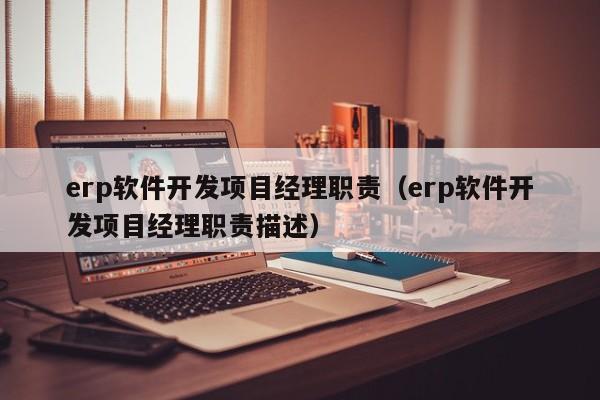 erp软件开发项目经理职责（erp软件开发项目经理职责描述）