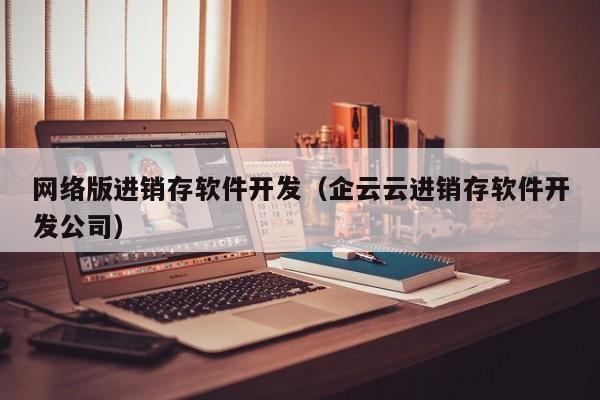 网络版进销存软件开发（企云云进销存软件开发公司）