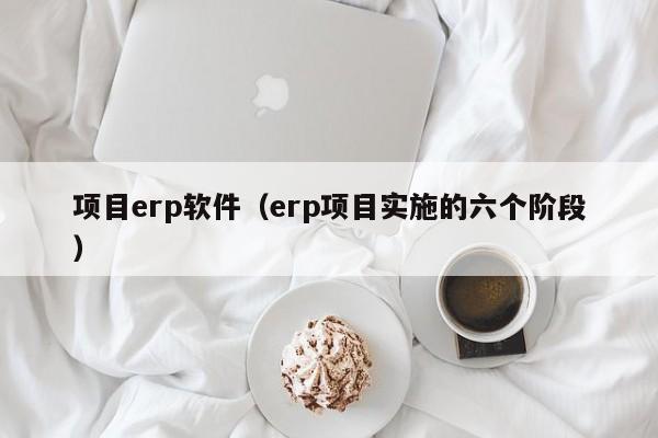 项目erp软件（erp项目实施的六个阶段）