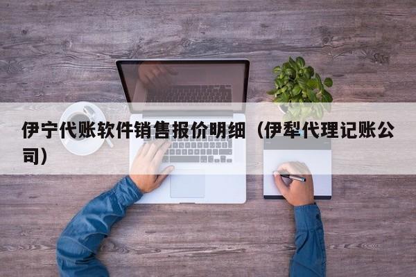 伊宁代账软件销售报价明细（伊犁代理记账公司）