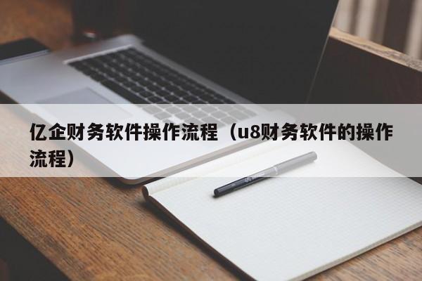 亿企财务软件操作流程（u8财务软件的操作流程）