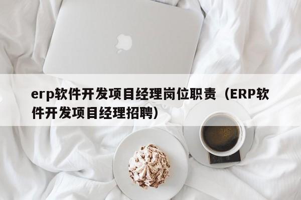 erp软件开发项目经理岗位职责（ERP软件开发项目经理招聘）