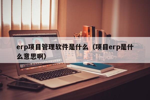 erp项目管理软件是什么（项目erp是什么意思啊）