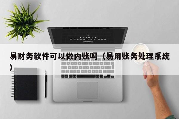 易财务软件可以做内账吗（易用账务处理系统）