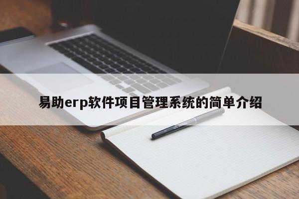 易助erp软件项目管理系统的简单介绍