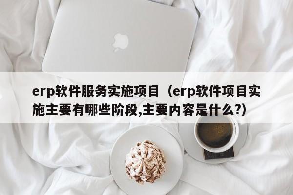 erp软件服务实施项目（erp软件项目实施主要有哪些阶段,主要内容是什么?）