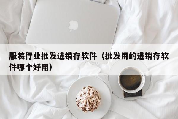 服装行业批发进销存软件（批发用的进销存软件哪个好用）