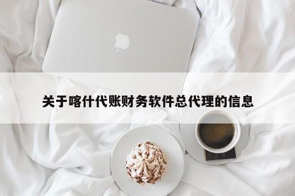 关于喀什代账财务软件总代理的信息