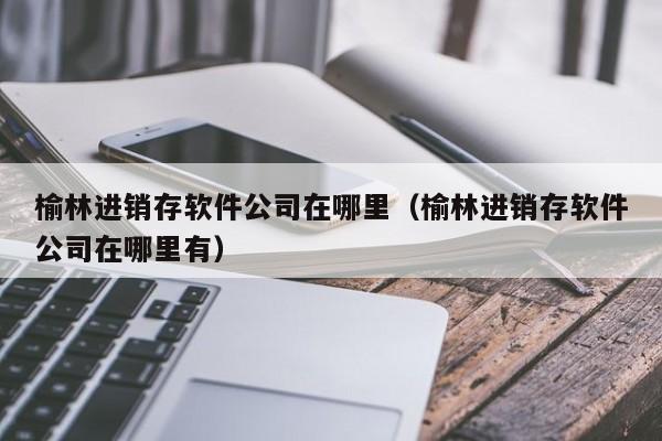 榆林进销存软件公司在哪里（榆林进销存软件公司在哪里有）