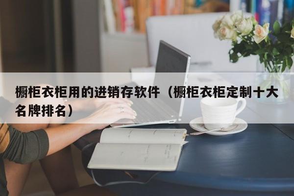 橱柜衣柜用的进销存软件（橱柜衣柜定制十大名牌排名）