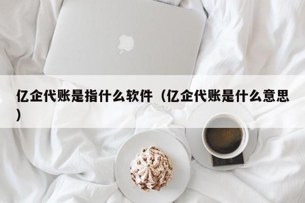 亿企代账是指什么软件（亿企代账是什么意思）