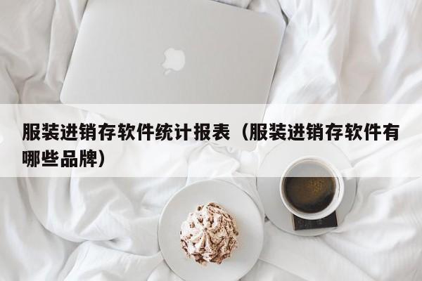 服装进销存软件统计报表（服装进销存软件有哪些品牌）