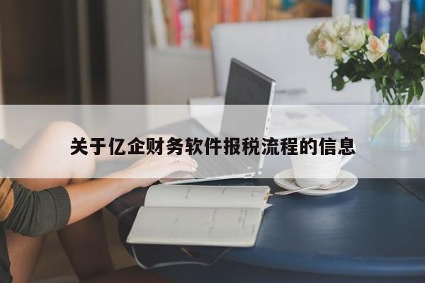 关于亿企财务软件报税流程的信息