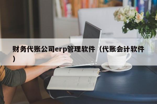 财务代账公司erp管理软件（代账会计软件）