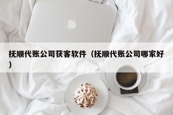 抚顺代账公司获客软件（抚顺代账公司哪家好）