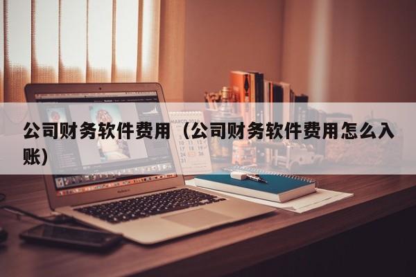 公司财务软件费用（公司财务软件费用怎么入账）